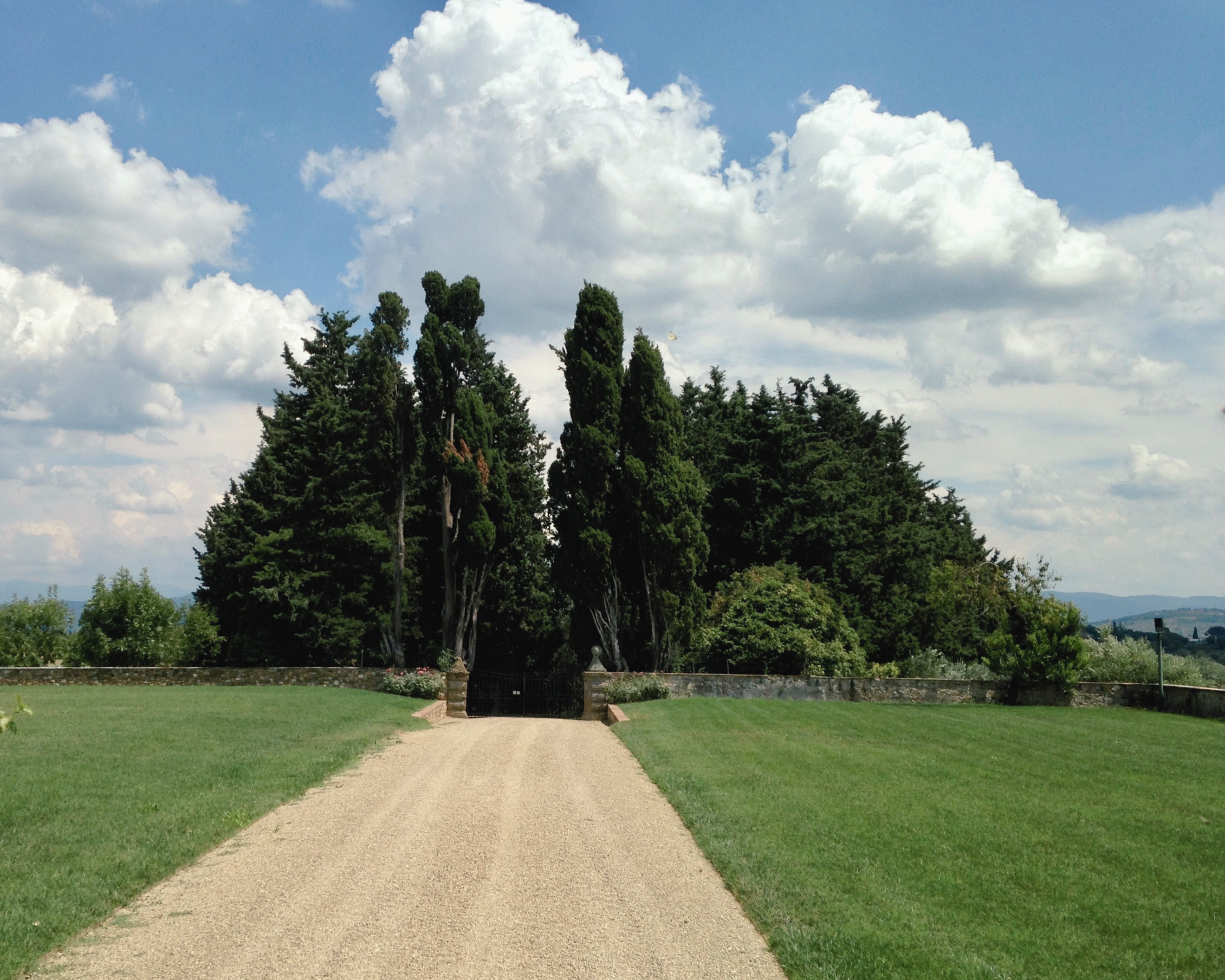 A private gated driveway lined with cypress trees.